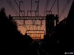 linea