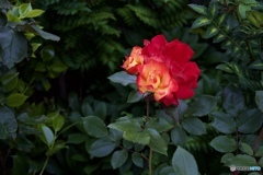 C8D196AB-FF16-4183-8541-526F228A9BC2