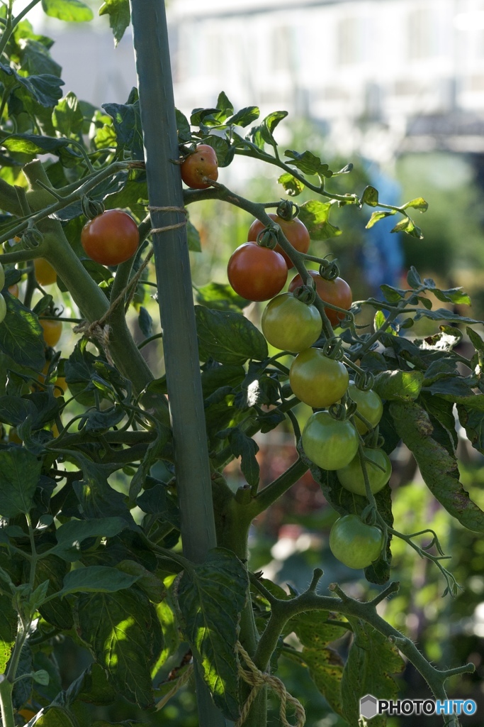 257FC59E-F509-424B-8130-A3240573BFA3