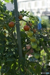 257FC59E-F509-424B-8130-A3240573BFA3