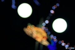 だって、二月にサンタの電飾