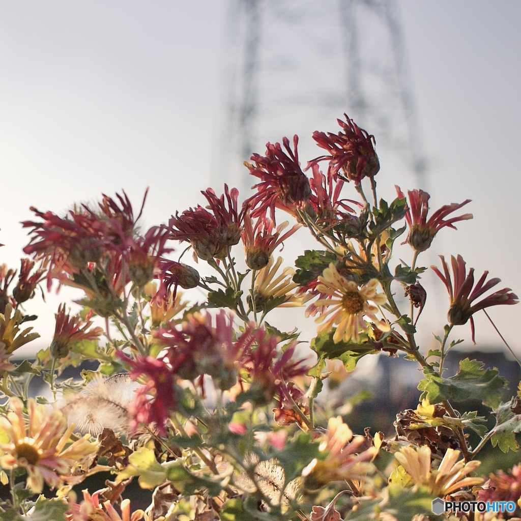 4779482C-0432-44C3-9568-600100A9CECA