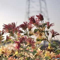 4779482C-0432-44C3-9568-600100A9CECA