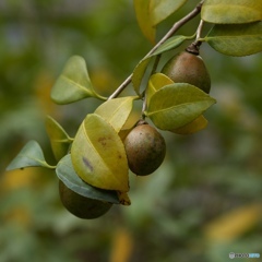 1F0B0376-8472-44B0-9ABB-27B6300CC894