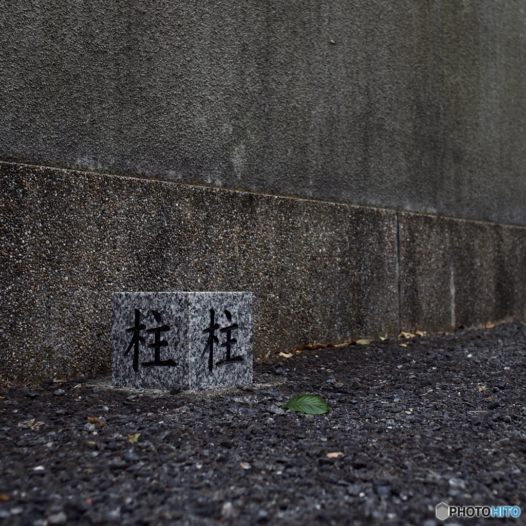 A3A5606A-F406-4DC5-937F-B1D0C08FF577