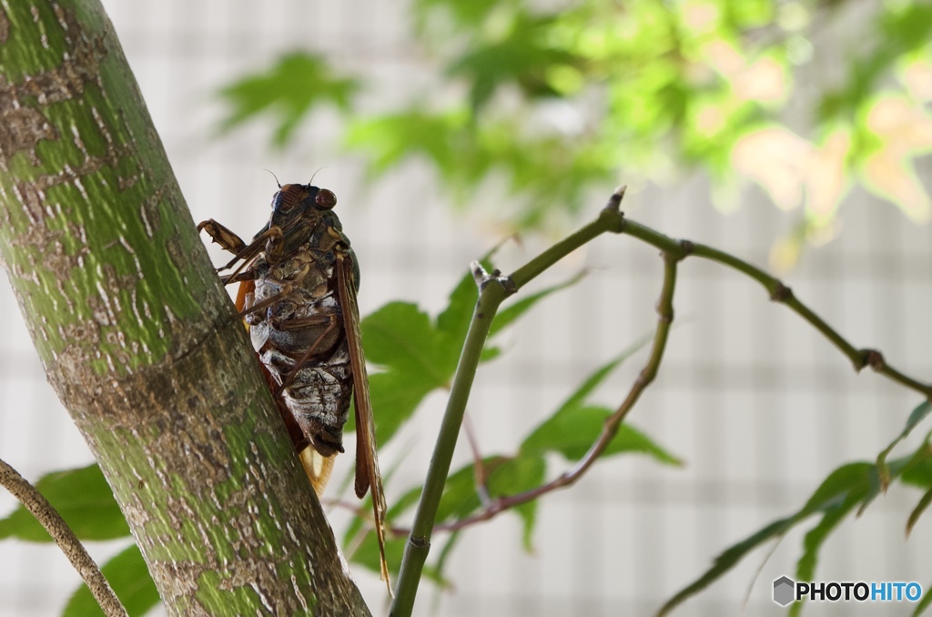 98B3E2A7-D188-4353-8912-C592C2877C95