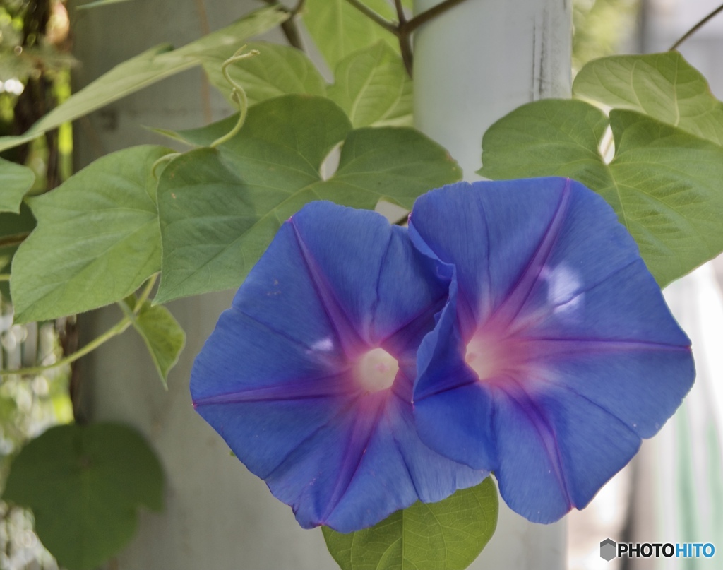 1F735FA3-8067-4B84-89F8-C7B53C27F146