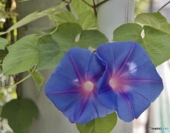 1F735FA3-8067-4B84-89F8-C7B53C27F146