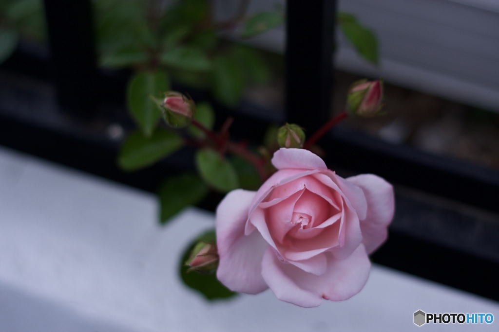 37FA1AC0-5850-4B60-AB13-3EA396D1E1D0