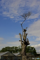 E4D1BE68-9A5F-478C-A4C5-C65A90677270