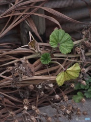 2BAE2B45-E80D-4EBF-AC3E-1E18139BCB04