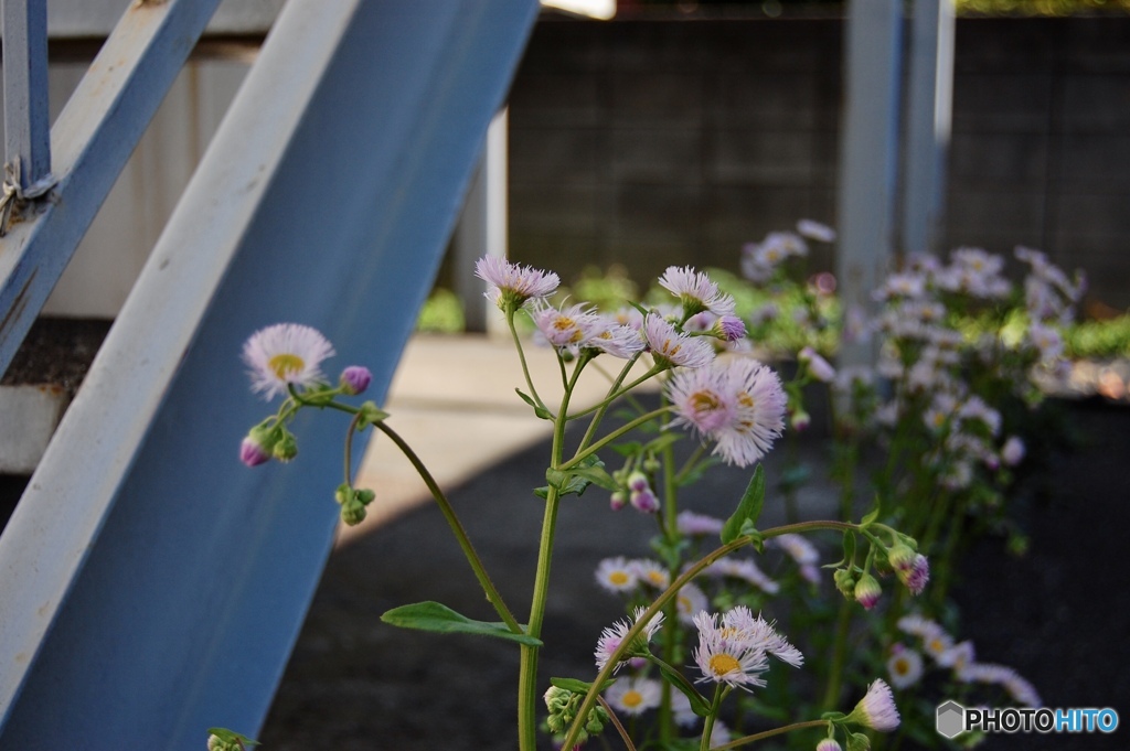 誰が貧乏なんて