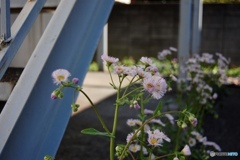 誰が貧乏なんて