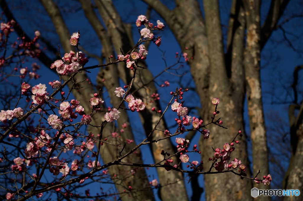 ACE491E7-B672-461C-BBB7-DDDAD7EB88D0