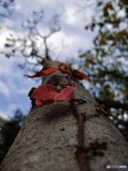 22EEE919-2AD2-4AF3-9C64-E8FF3AAA9B1D