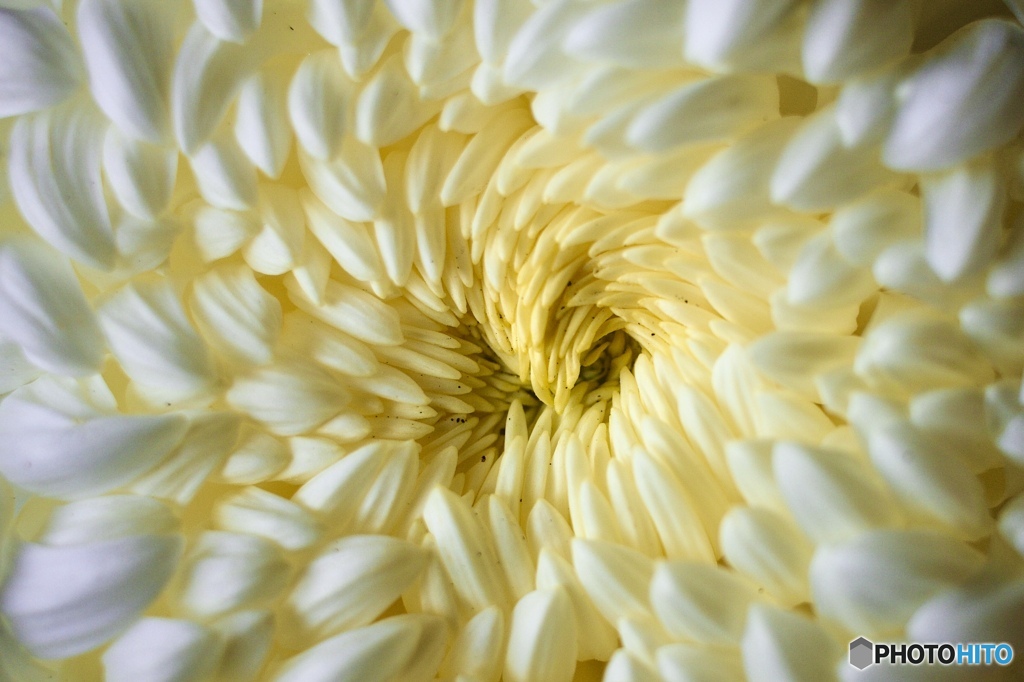 022933CE-290A-4CB0-9889-7762BA7EAFB5