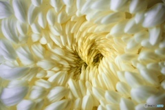 022933CE-290A-4CB0-9889-7762BA7EAFB5