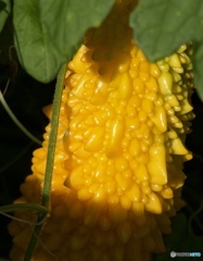 F36CD57D-BB19-47BA-BAD5-157468BD5275