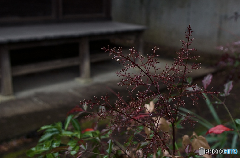 BA0E9EF6-EAA4-4FB2-9F7C-05852734F7B9