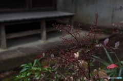 BA0E9EF6-EAA4-4FB2-9F7C-05852734F7B9