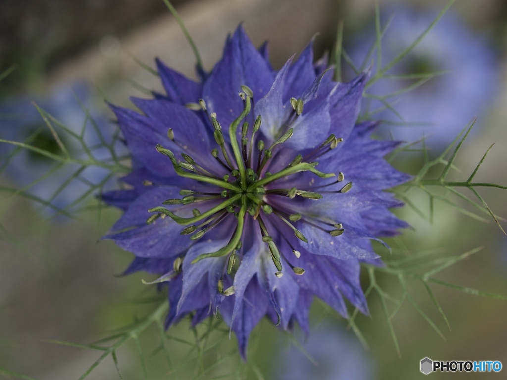 0D0C2484-8FD1-477D-A674-7BE8D2F2A5EF