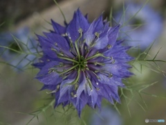 0D0C2484-8FD1-477D-A674-7BE8D2F2A5EF