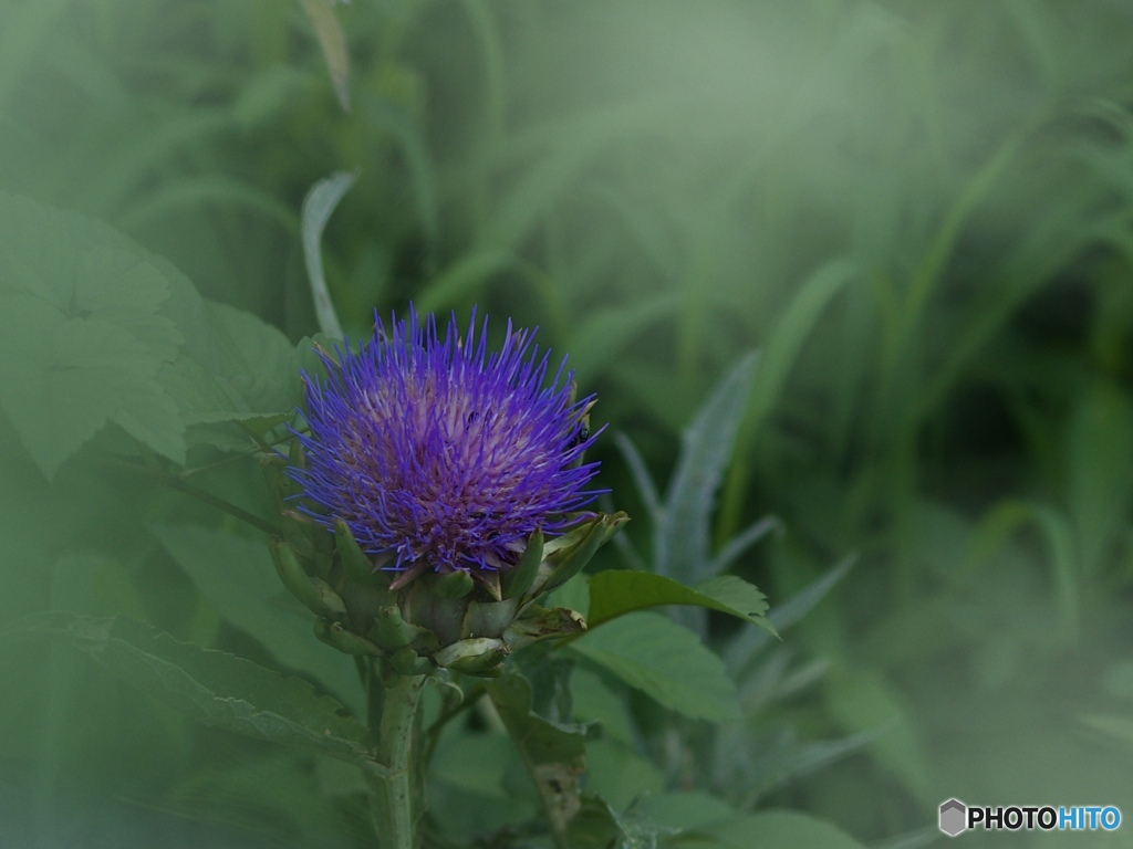 F62BBD1B-15D7-4327-BECD-D883369120A7