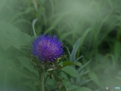 F62BBD1B-15D7-4327-BECD-D883369120A7