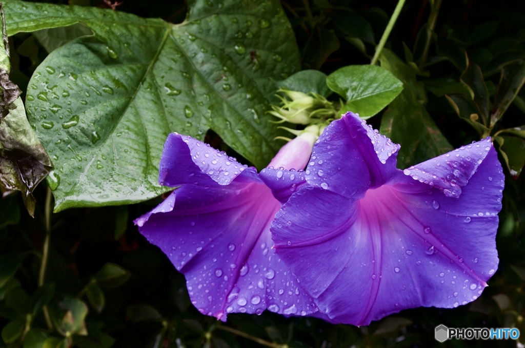 4DB37C16-0214-479C-A83D-66BF1FEBEA36