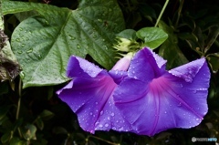 4DB37C16-0214-479C-A83D-66BF1FEBEA36