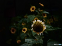 8993D806-2447-4435-855C-5F30641AC883