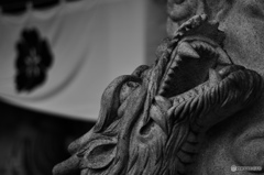 B1E4A638-827C-4189-915E-3DE3125138A9