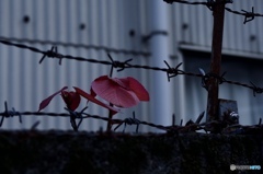 59D61A25-0A47-49E0-A65E-485A5649CA11