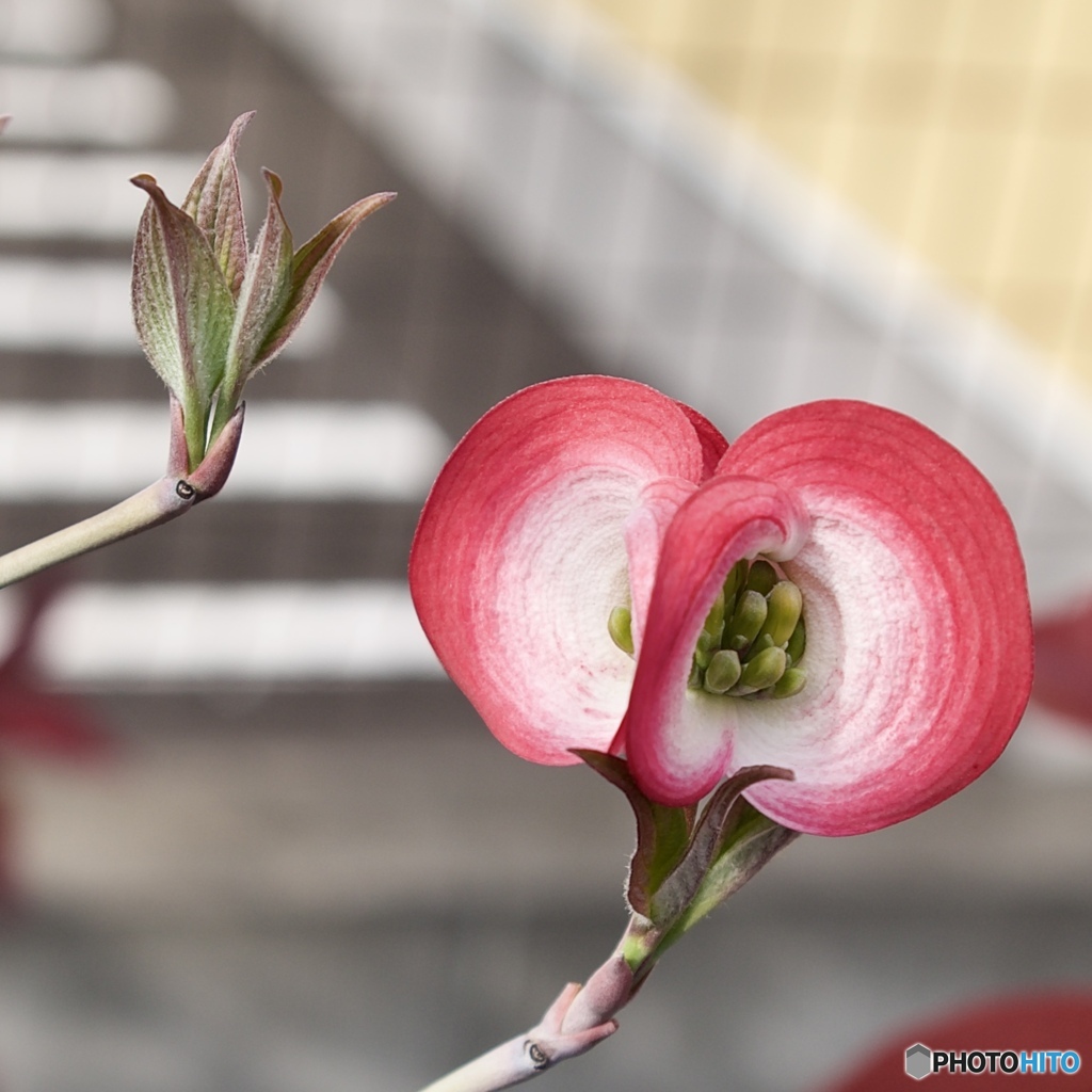 368F4BE3-74F3-43FB-8E1C-69B79B8480A8