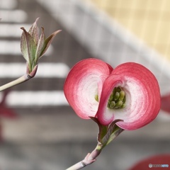 368F4BE3-74F3-43FB-8E1C-69B79B8480A8