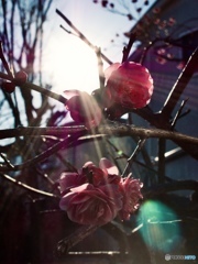 7FB7A7D7-B693-4268-8845-FCC83E7EC789