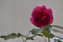 140892A8-DB3C-4AA0-BD9E-5945F02A326E