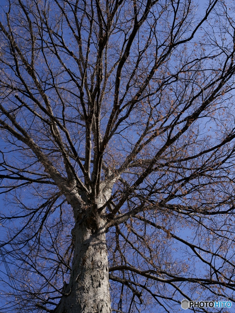 _DSC0163