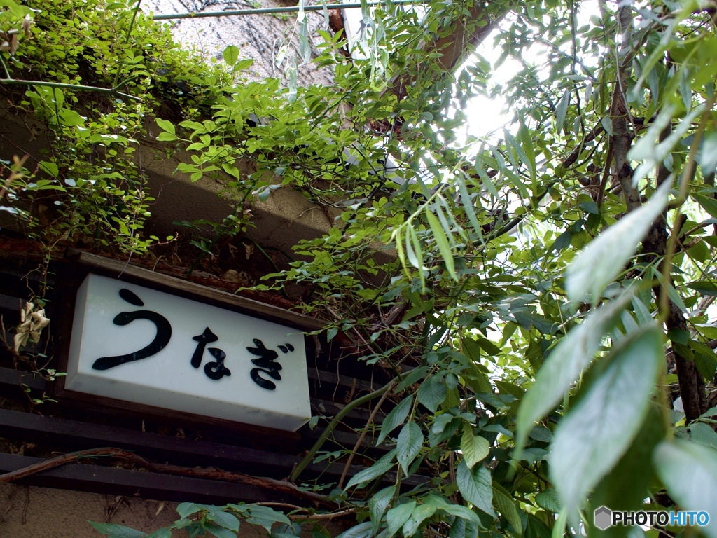 B28DF161-A6D7-4396-82E3-93A43F58052D