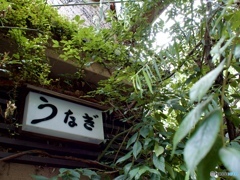 B28DF161-A6D7-4396-82E3-93A43F58052D