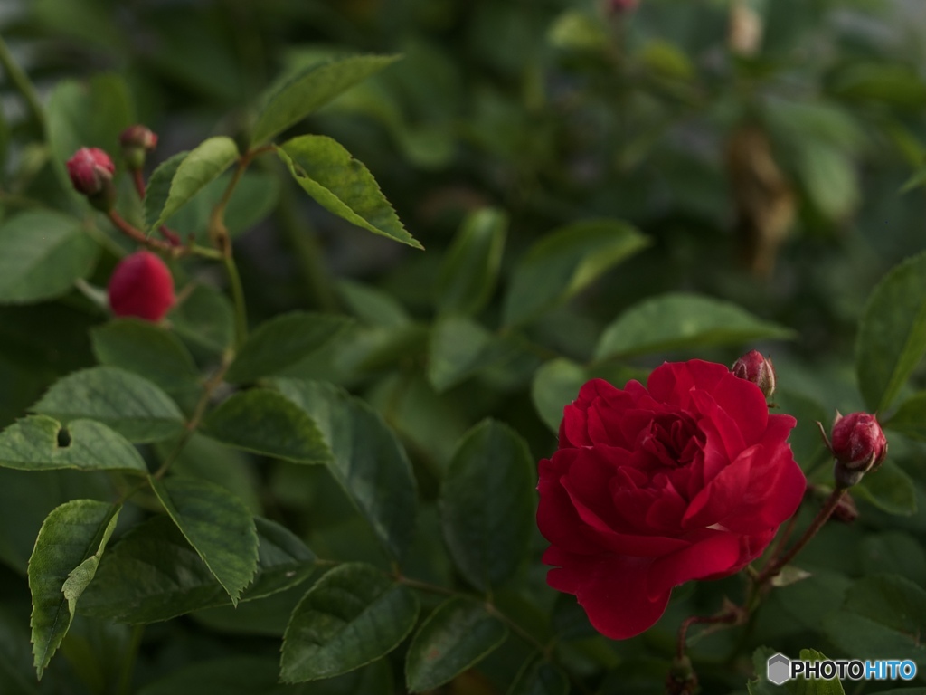 70D756B1-48F7-4381-980D-ACD619FB8962