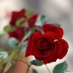 750F065A-4E74-49AF-AF65-6BFE6525B7AE