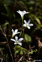 B4D0C76B-6197-4786-BC70-5173BA5DCE4A