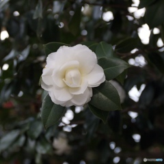 D65D4D32-EB34-4CE8-8F57-DE5F7FED6E1B
