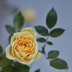 F3680524-D1B4-4B5C-BA72-9B77D9CE8853