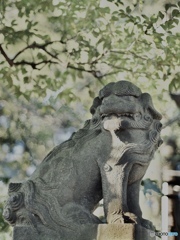 3F178518-CDC5-4066-9A13-9067DE04D27D