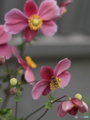 4EB59F98-5F8A-4635-AAB7-8E6EB0579FFE