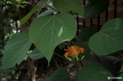 B44F3C8B-9395-4594-9E86-1BFA175E4B39