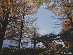 7FFE1B14-D642-4BBB-99E4-9C932CCCB91B