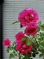 027C888C-7E67-4CDA-9BE6-CF48307EFEC1